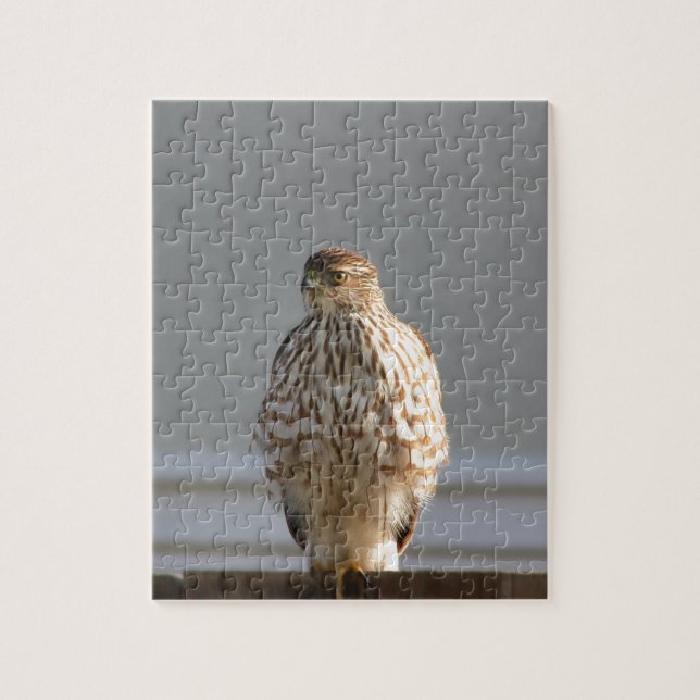 Red Tailed Hawk jigsaw puzzle (Vertical)