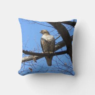 Red Tailed Hawk (juvenile) Throw Pillow