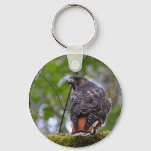 Red-Tailed Hawk Key Ring
