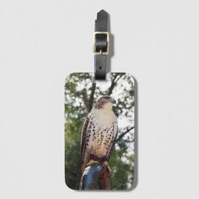 Red-Tailed Hawk Luggage Tag (Front Vertical)
