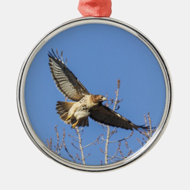 Red-tailed Hawk Metal Tree Decoration (Front)