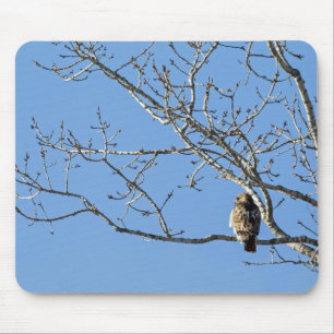 Red Tailed Hawk Mouse Mat