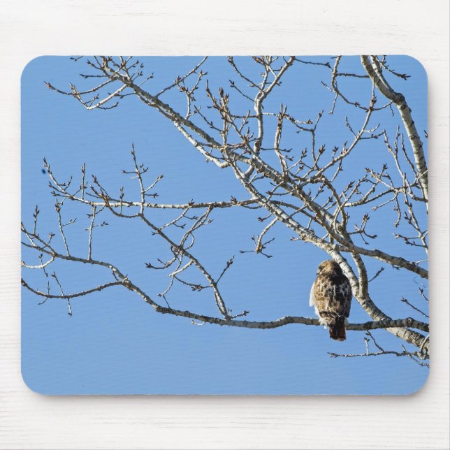Red Tailed Hawk Mouse Mat (Front)