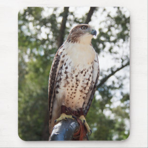 Red-Tailed Hawk Mouse Mat