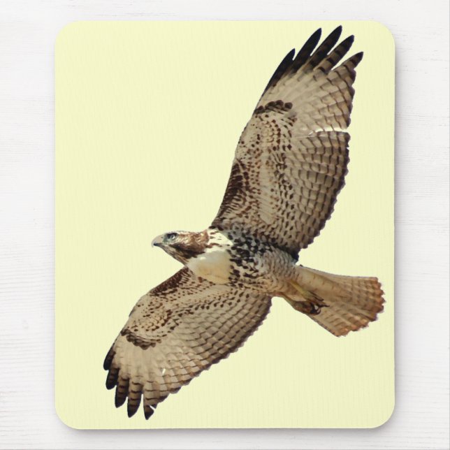 Red Tailed Hawk Mousepad (Front)