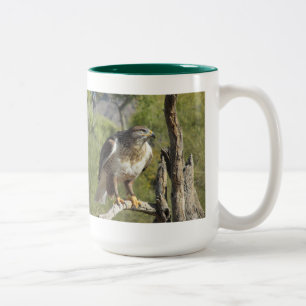 Red Tailed Hawk Mug