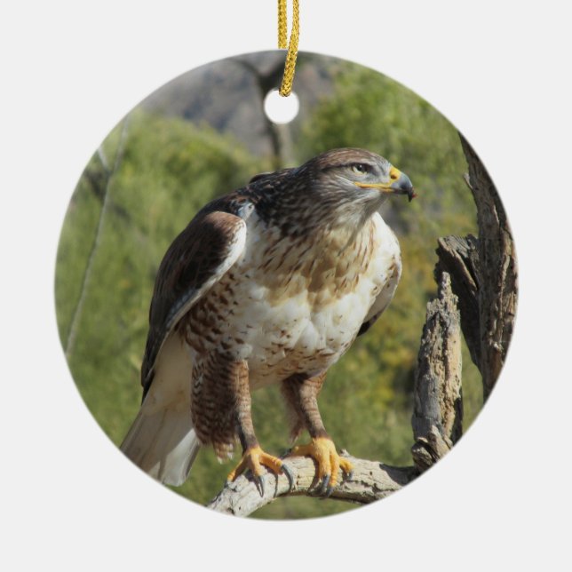 Red Tailed Hawk Ornament (Front)