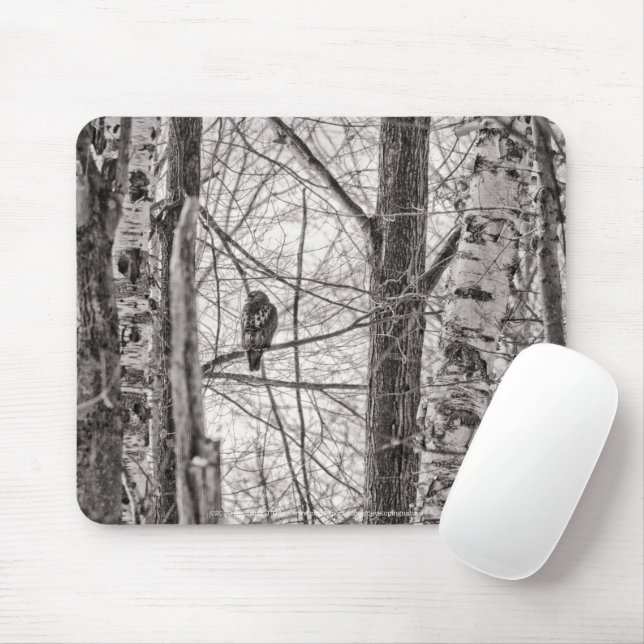 Red-tailed Hawk P8443 Mouse Mat (With Mouse)