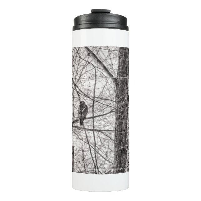 Red-tailed Hawk P8443 Thermal Tumbler (Front)