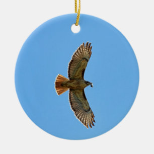 Red-Tailed Hawk Photo Ceramic Tree Decoration