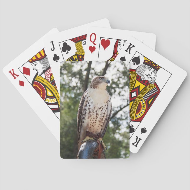 Red-Tailed Hawk Playing Cards (Back)