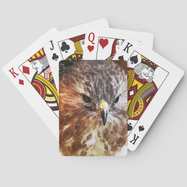 RED TAILED HAWK PLAYING CARDS (Back)