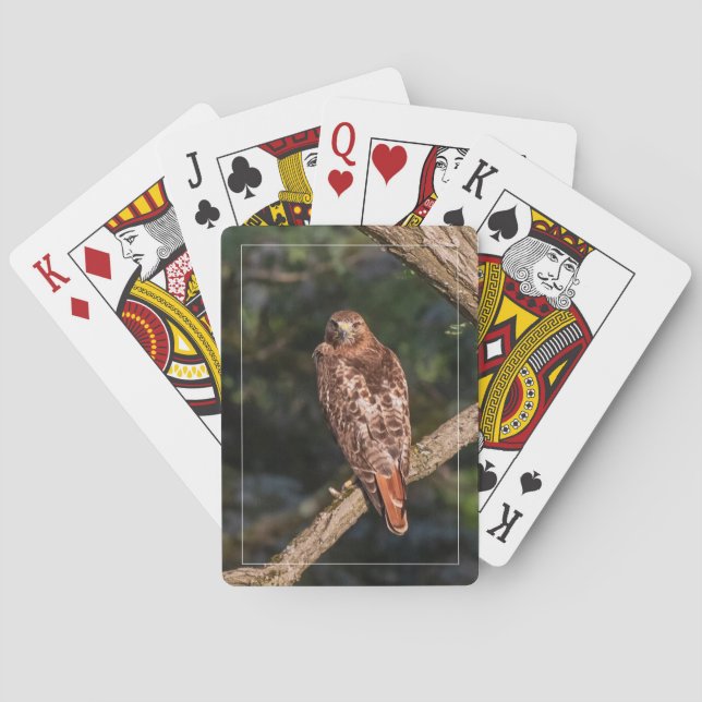 Red-tailed Hawk Playing Cards (Back)