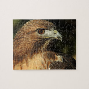 Red Tailed Hawk Puzzle