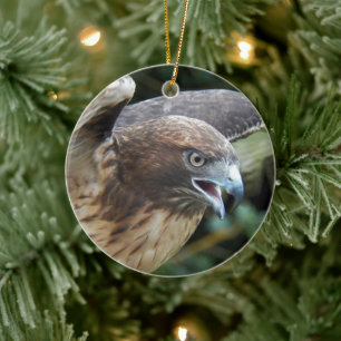 Red-tailed Hawk Raptor Photo Holiday Ceramic Tree Decoration