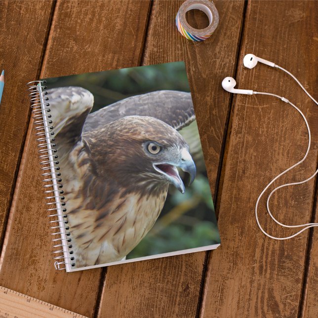 Red-tailed Hawk Raptor Photo Notebook (In Situ)