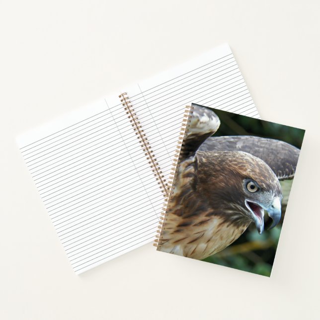 Red-tailed Hawk Raptor Photo Notebook (Inside)