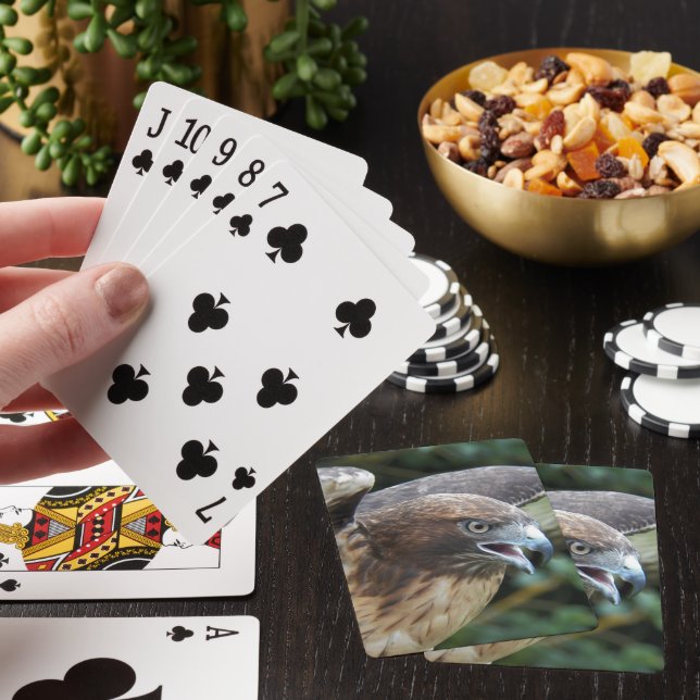 Red-tailed Hawk Raptor Photo Playing Cards (In Situ)