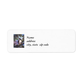 Red Tailed Hawk Return Address Labels