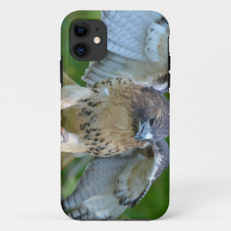 Red-tailed Hawk Spread Wings iPhone 11 Case