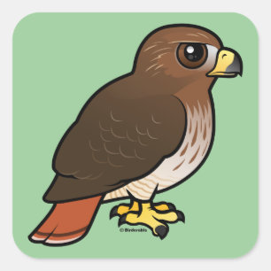 Red-tailed Hawk Square Sticker