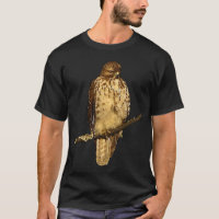 Red Tailed Hawk