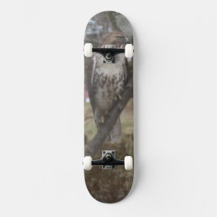 Red-tailed Hawk Tree Branch Skateboard