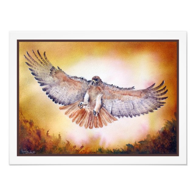 Red Tailed Hawk Watercolor Painting Photo Print (Front)