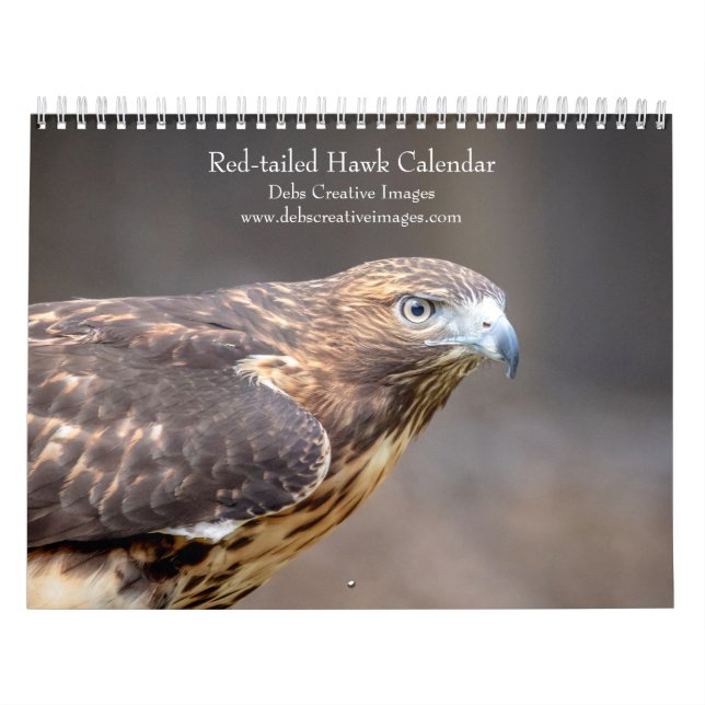 Red-tailed Hawks 2026 Calendar (Cover)