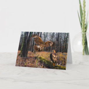 "Red-Tailed Hawks" Greeting Card