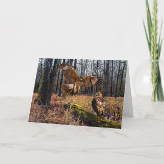"Red-Tailed Hawks" Greeting Card