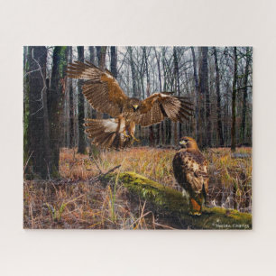 "Red-Tailed Hawks" Jigsaw Puzzle