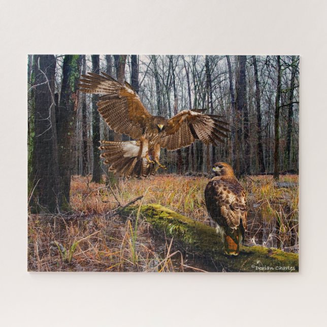 "Red-Tailed Hawks" Jigsaw Puzzle (Horizontal)
