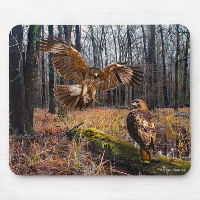 "Red-Tailed Hawks" Mouse Mat (Front)
