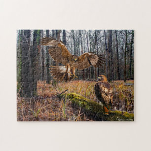 "Red-Tailed Hawks" Puzzle