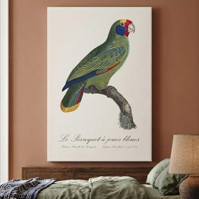 Red-Tailed Parrot Amazon, Amazona Brasiliensis Canvas Print (Red-Tailed Parrot Amazon, Amazona Brasiliensis. Canvas Print)