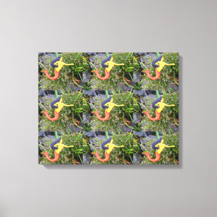 red-tailed sirena mermaids canvas print