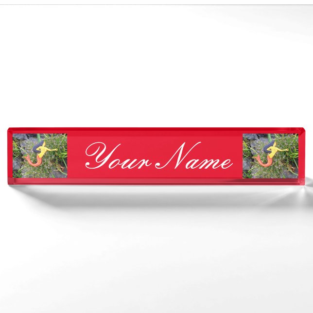red-tailed sirena mermaids nameplate (Front)