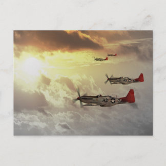 Red Tails.jpg Postcard