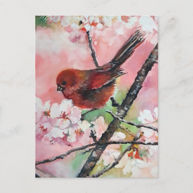 Red tanager bird on Cherry blossom  Postcard (Front)