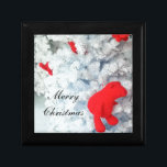 Red Teddy bear in Christmas Tree Gift Box<br><div class="desc">Red Teddy Bear in White Christmas Tree</div>