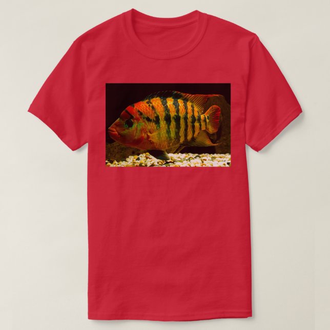 Red Terror Cichlasoma festae female T-Shirt (Design Front)