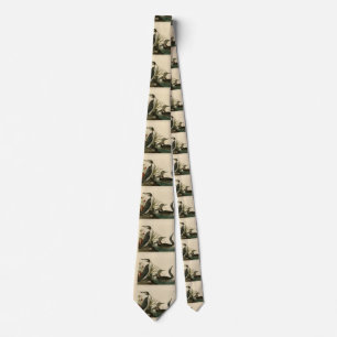 Red-Throated Diver (Loon) Audubon Birds of America Tie