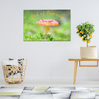 Red toadstool mushroom fall end of summer photo