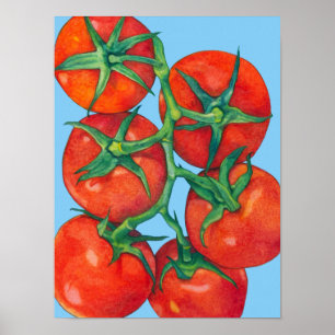 Red Tomatoes blue Poster