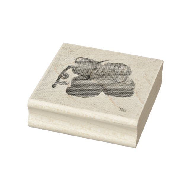 Red Tomatoes on the Vine Rubber Stamp (Stamp)