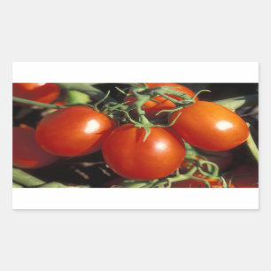 Red Tomatoes Rectangular Sticker