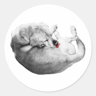 Red-Tongued Moment Classic Round Sticker