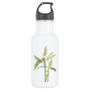 red torch banana(Musa coccinea) by Redouté 532 Ml Water Bottle