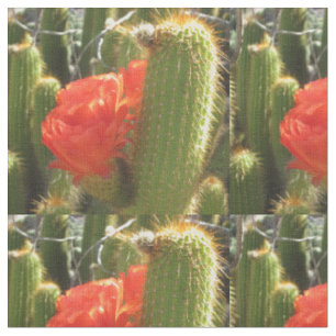 Red Torch Cactus Fabric